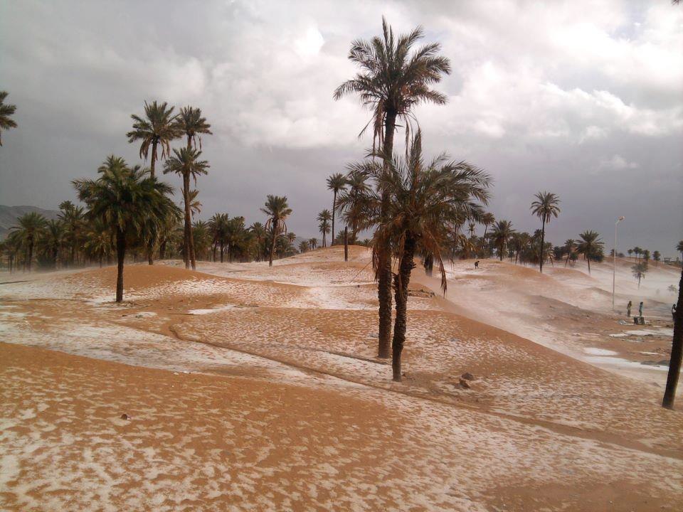 Bechar weather