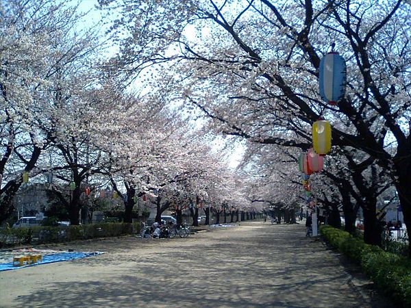 Fujimino weather