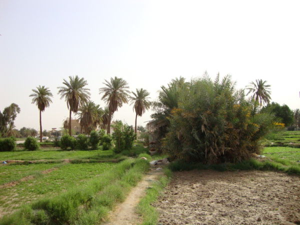 Al Jahra weather