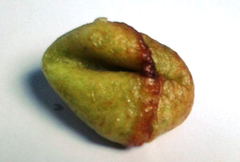 adrem - Traditional Indonesia dish