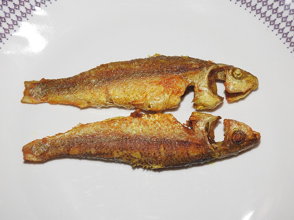Bata machh bhaja - Traditional India dish