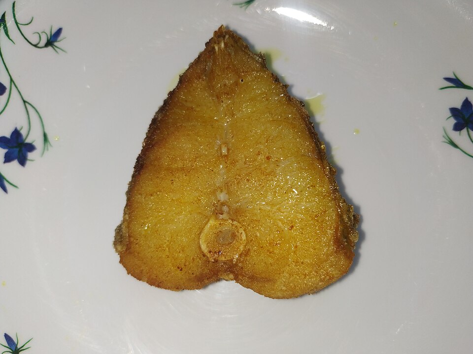 Bhola machh bhaja - Traditional India dish