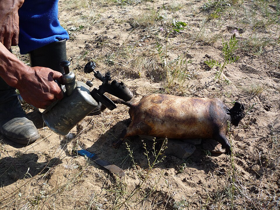 boodog - Traditional Mongolia dish