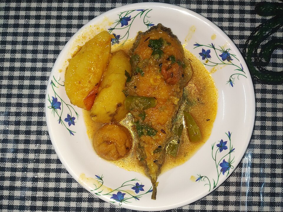 Bori diye boyal machher jhol - Traditional India dish