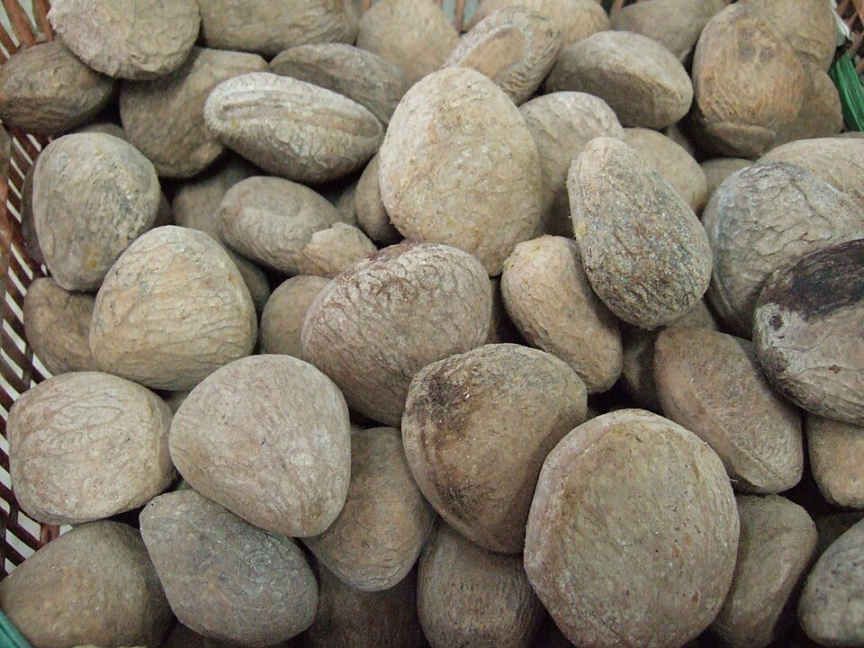 buah keluak - Traditional Indonesia dish