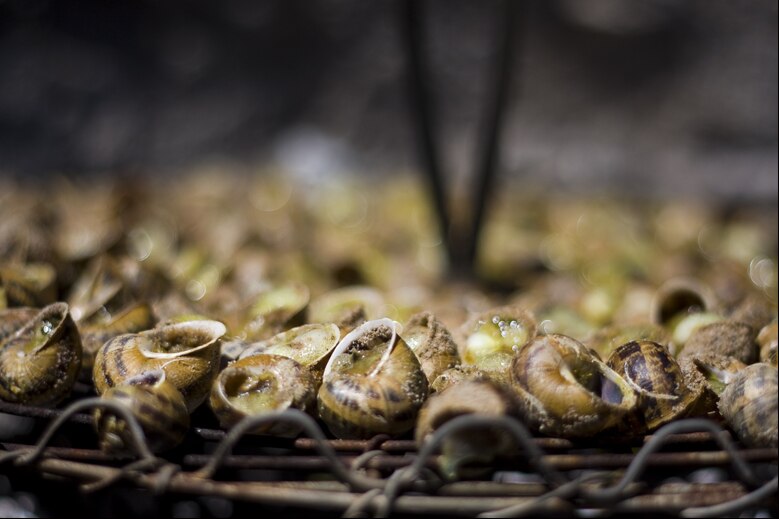 Caragolada - Traditional Spain dish