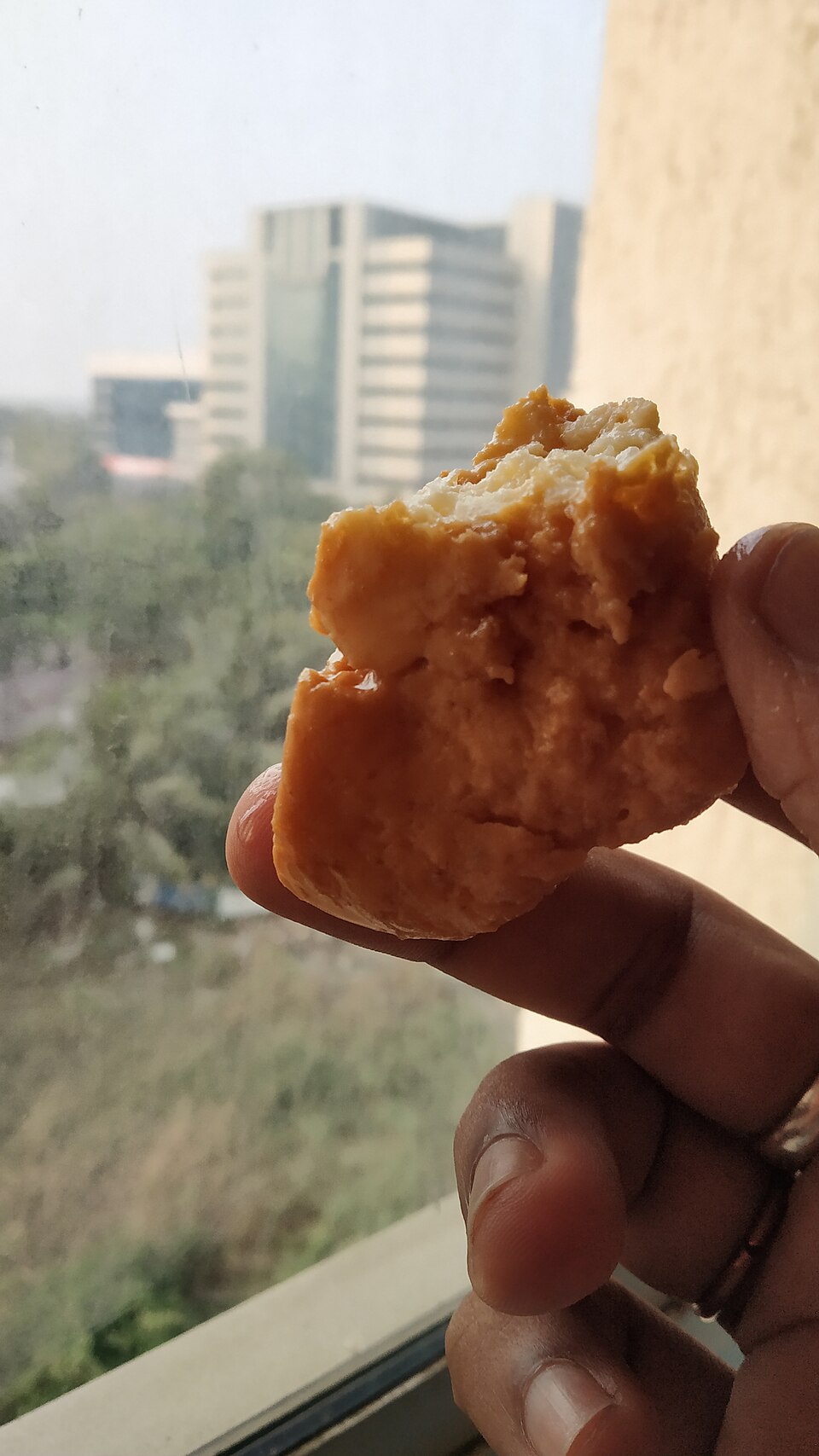 Chhena Mudki - Traditional India dish