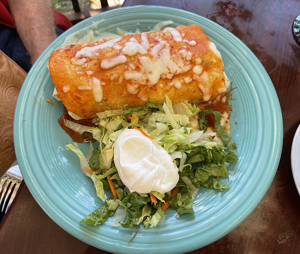 chicken burrito - Traditional Mexico dish