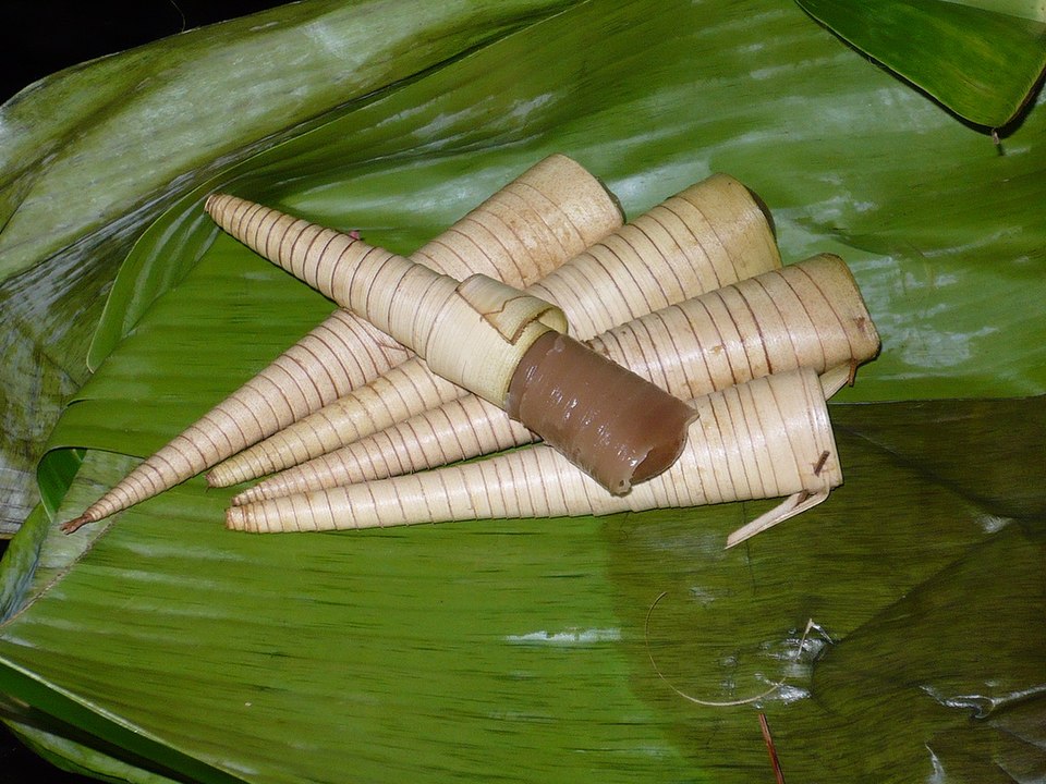 clorot