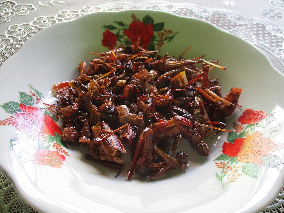 deep-fried grashopper - Traditional Indonesia dish