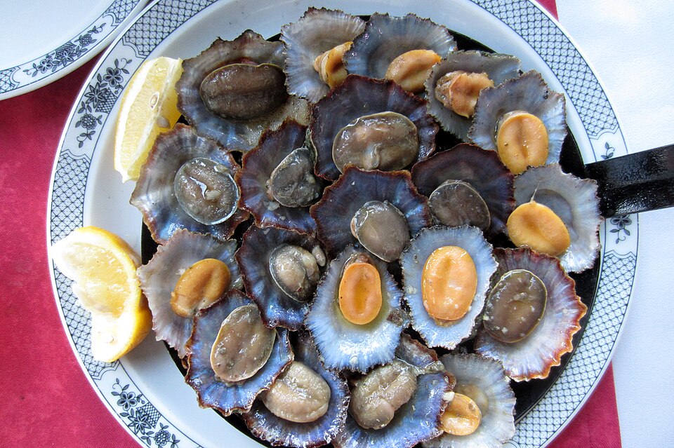 Grilled Lapas - Traditional Portugal dish