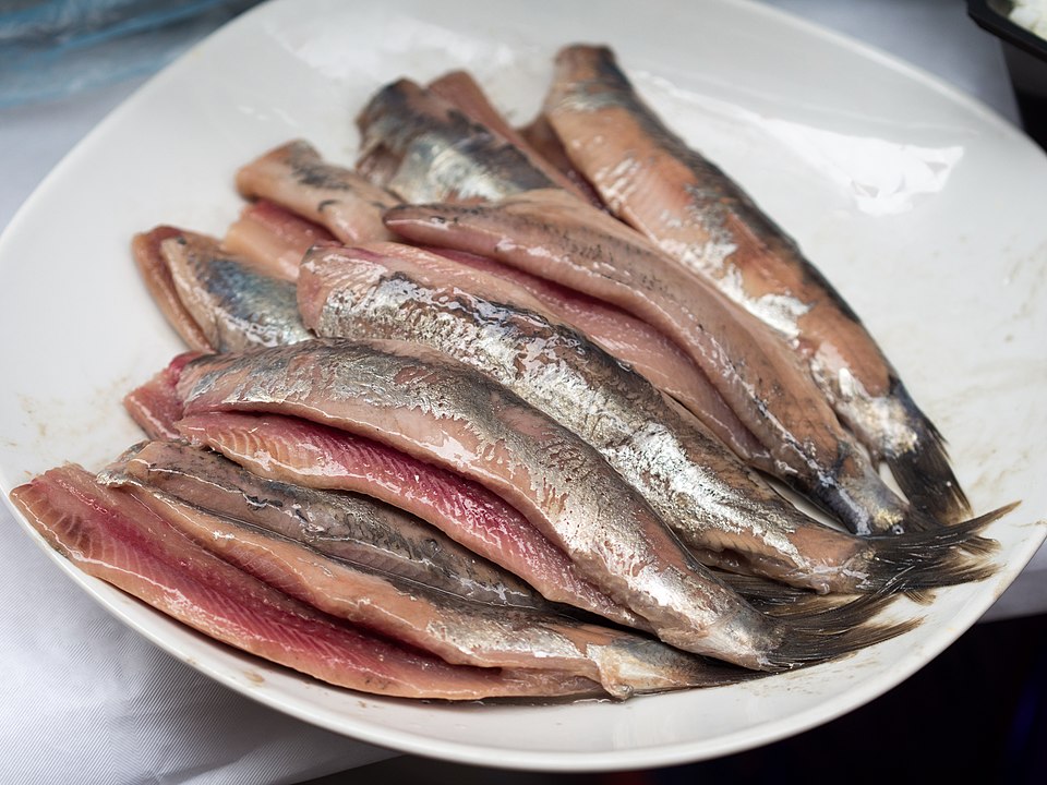 Hollandse Nieuwe - Traditional Netherlands dish