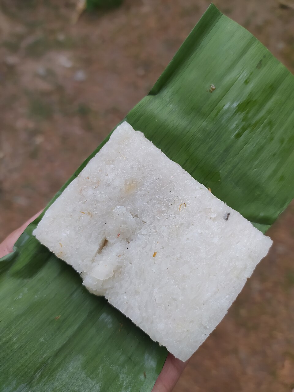 Jadah - Traditional Indonesia dish