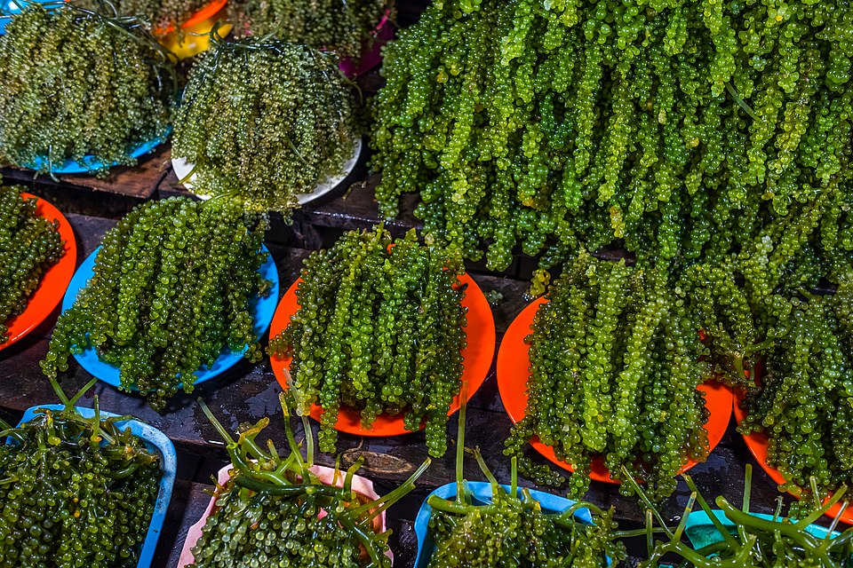 Lato - Traditional Philippines dish
