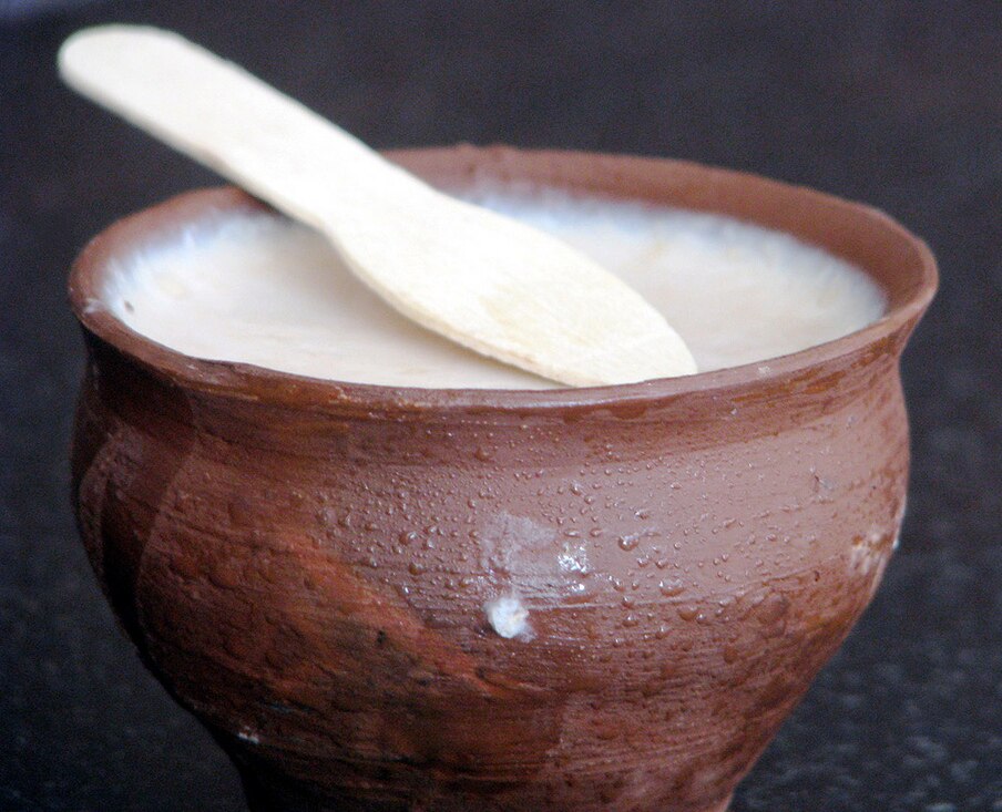 Mishti doi - Traditional India dish