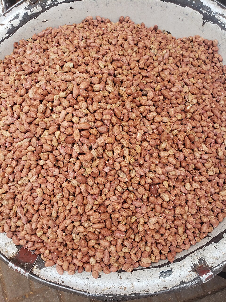 Miyan Geda