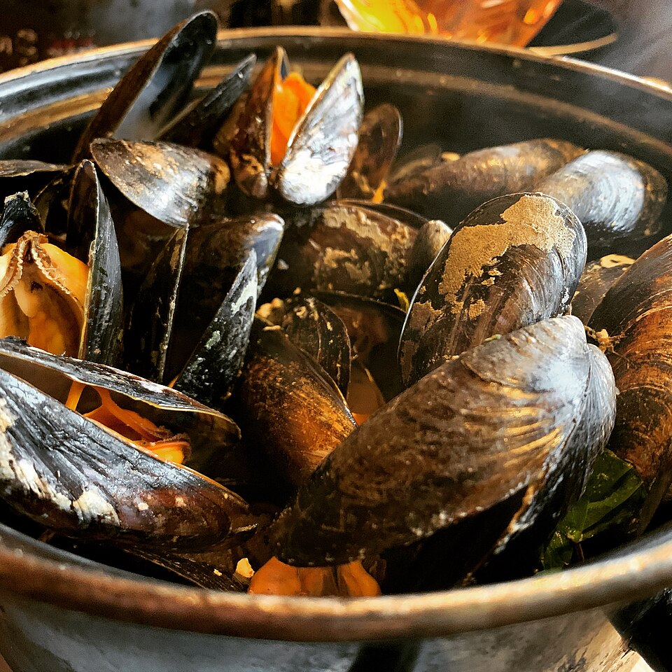 Mussels marinière - Traditional France dish