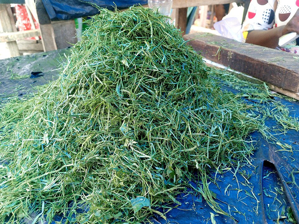 Nkoumou ofula - Traditional Gabon dish