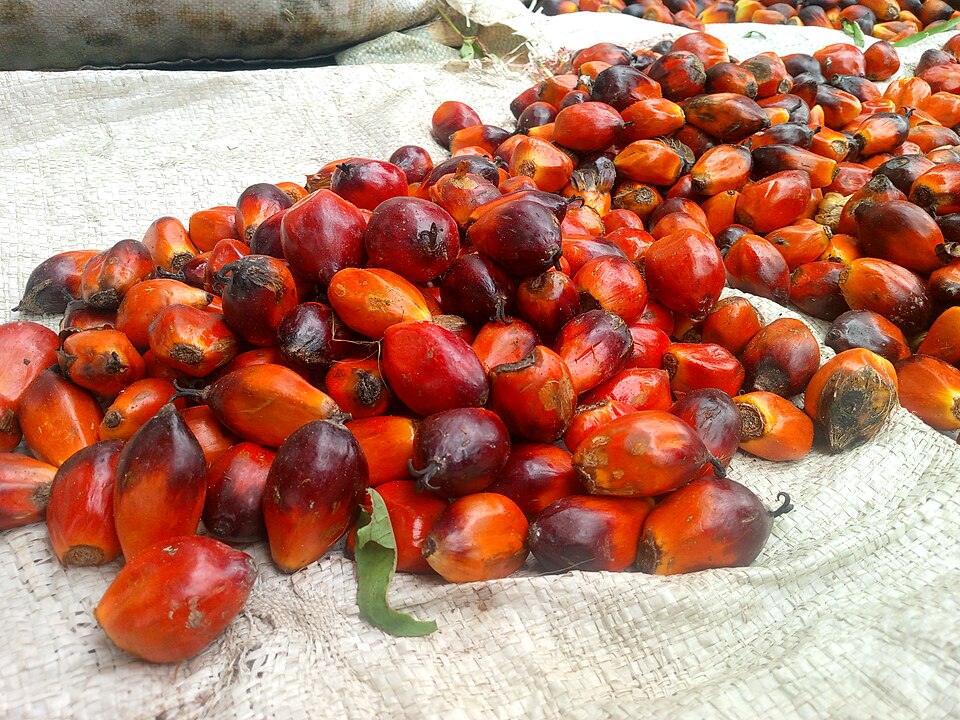 Noix palme - Traditional Gabon dish