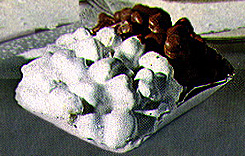 pignolata - Traditional Italy dish