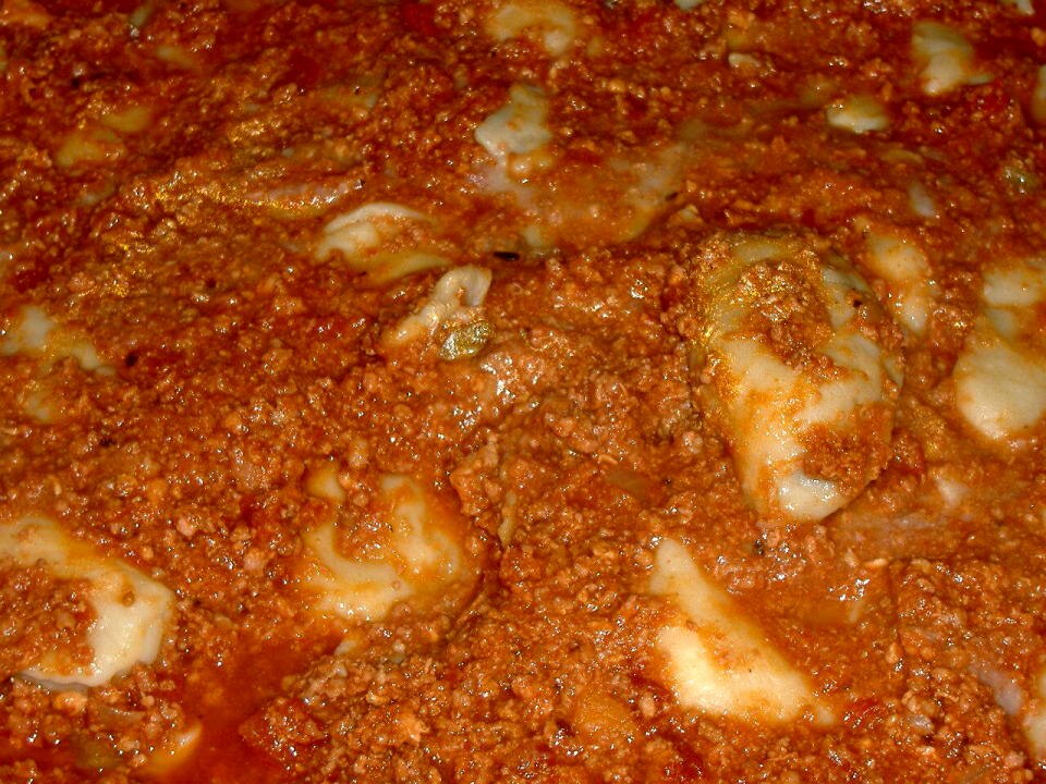 ragù - Traditional France dish