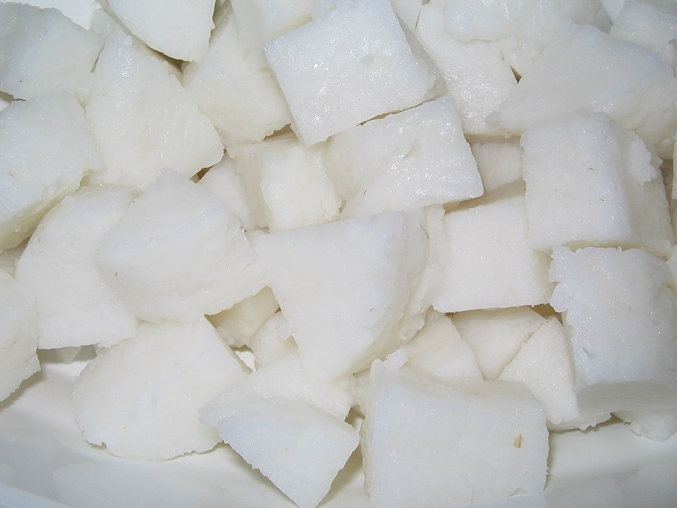 Rice himpit - Traditional Malaysia dish
