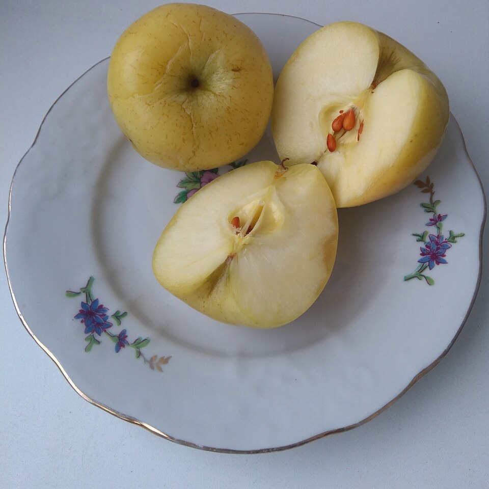 Мочёные яблоки - Traditional Russia dish