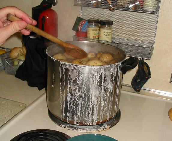 salt potatoes - Traditional United States of America dish