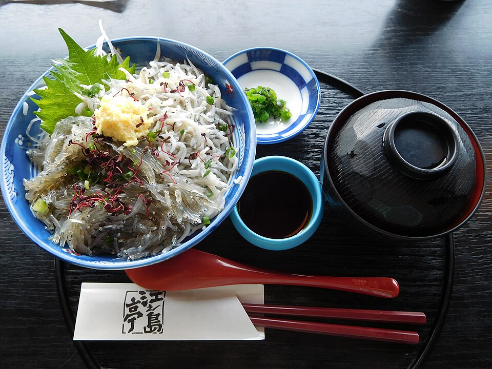 shirasudon - Traditional Japan dish