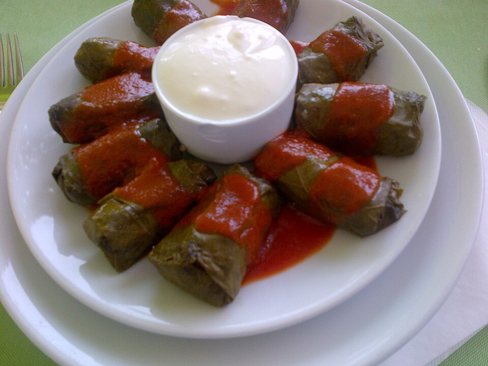 vine leaf roll - Traditional Türkiye dish