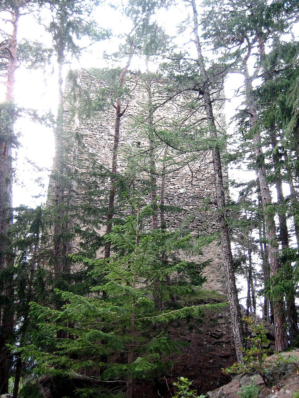 Ruine Ober-Ruchenberg