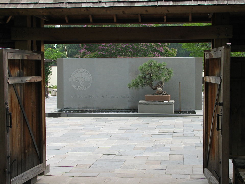 National Bonsai and Penjing Museum