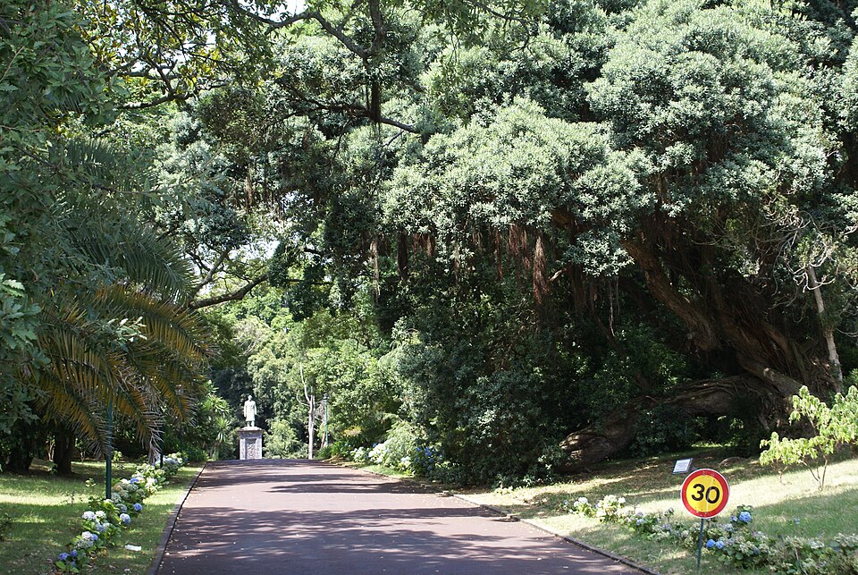 Jardim José do Canto