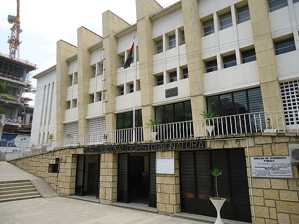 Nossa Senhora da Muxima - Museu Nacional de Historia Natural