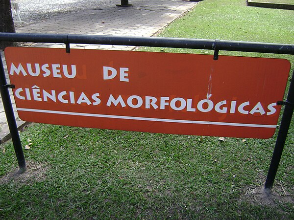 Museu de Ciências Morfológicas da UFMG