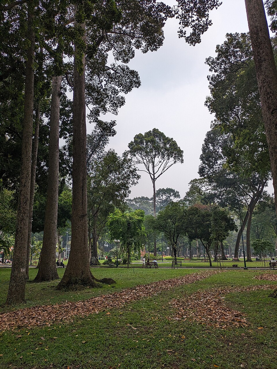 Công viên Tao Đàn