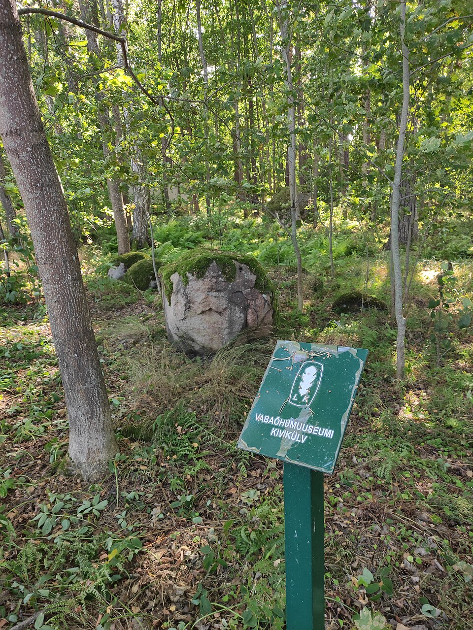 Vabaõhumuuseumi Kivikülv