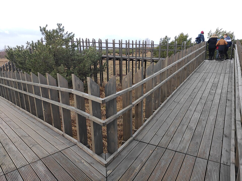 Apžvalgos aikštelė ant meškos galvos