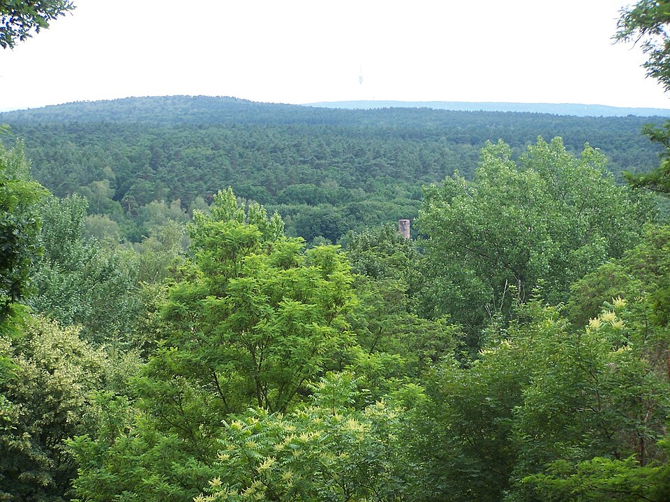 Grunewald