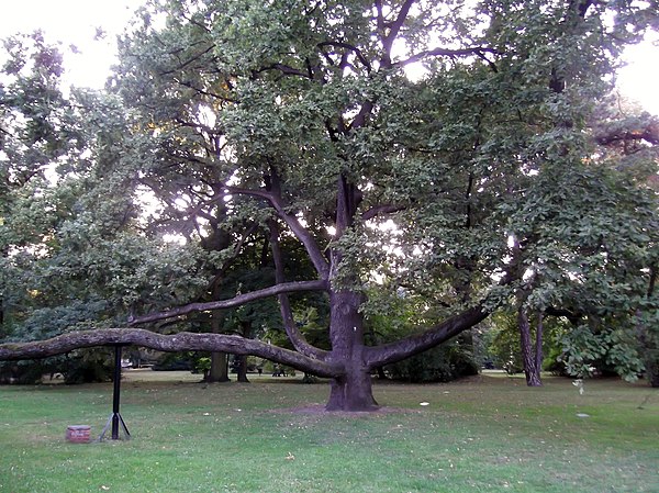 Park im. ks. bp. Michała Klepacza