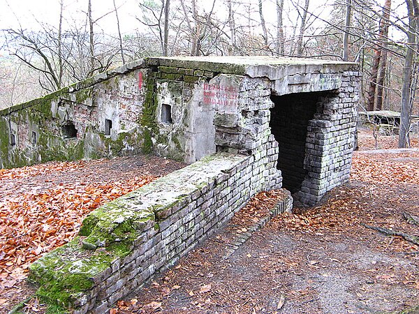Австрійський форт (Fort "Zjawienska Gora")