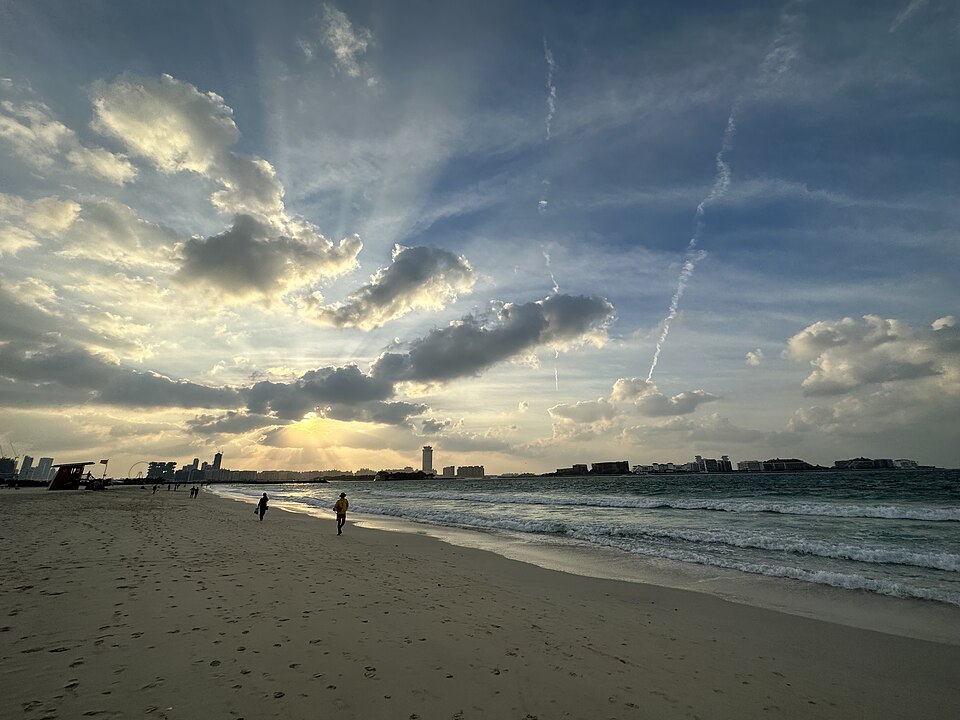 شاطئ الصفوح