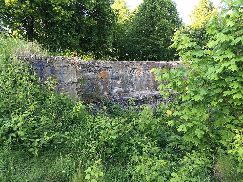 Domeikavos fortas (S662)