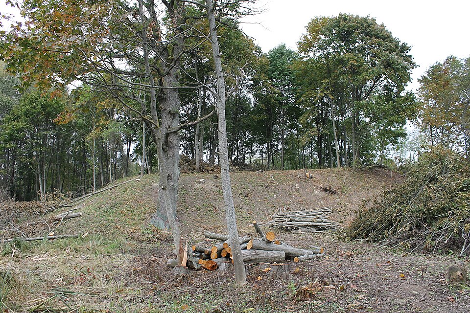 Plungės piliakalnis