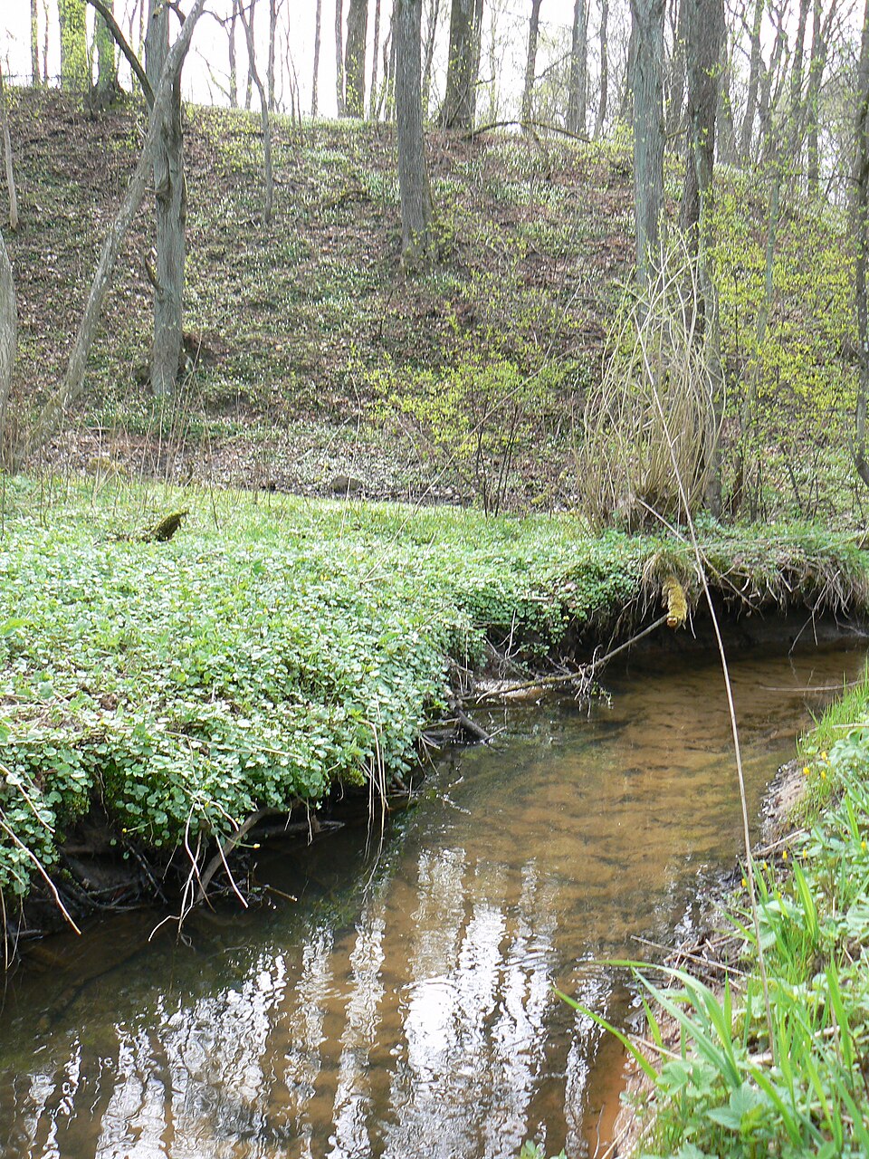 Purmalių piliakalnis