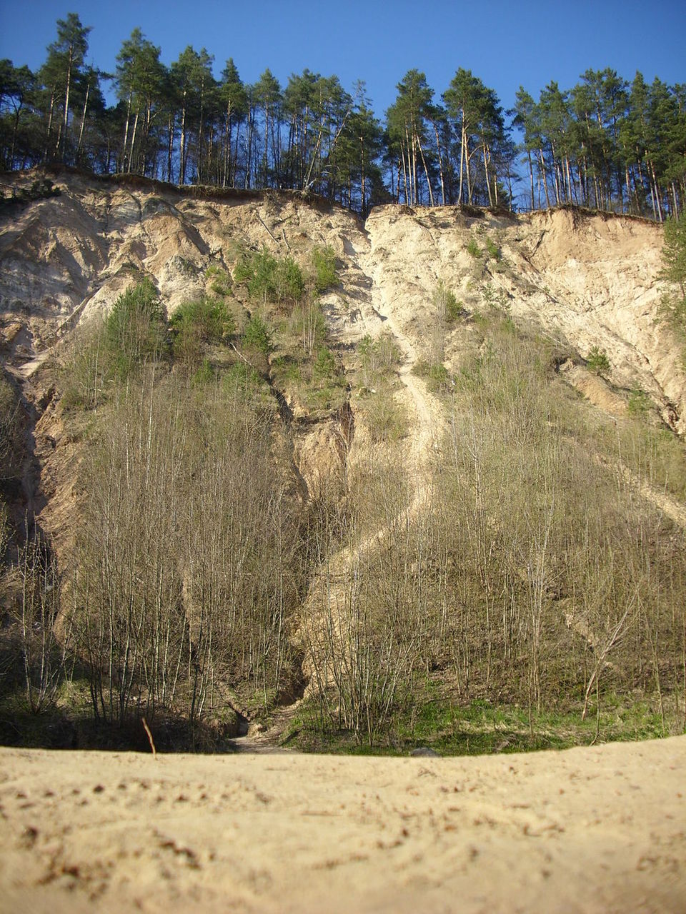 Pūčkorių atodanga