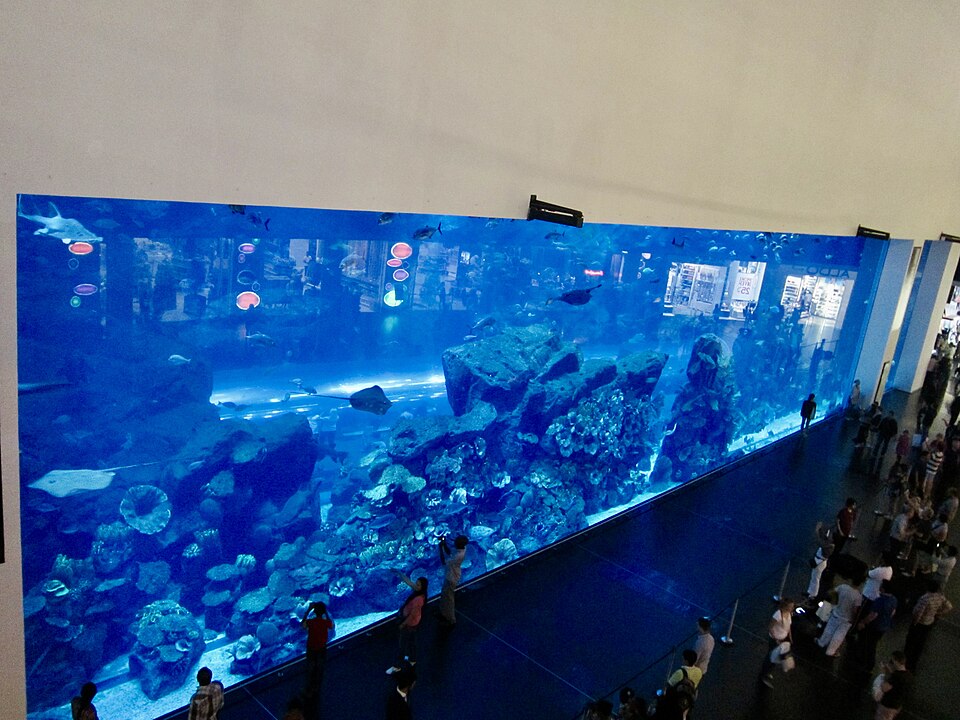 Dubai Aquarium & Underwater Zoo