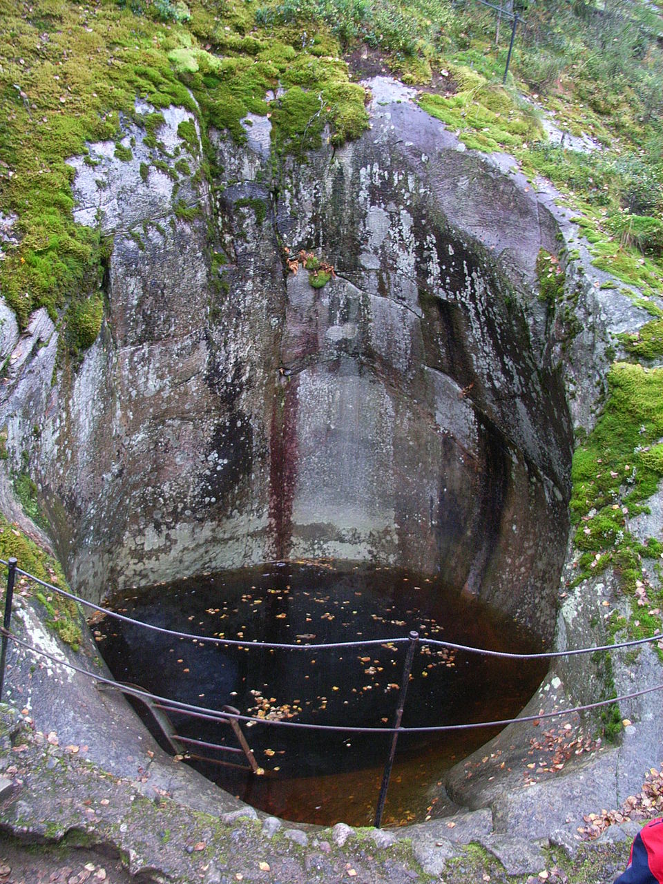 Pursialan hiidenkirnu