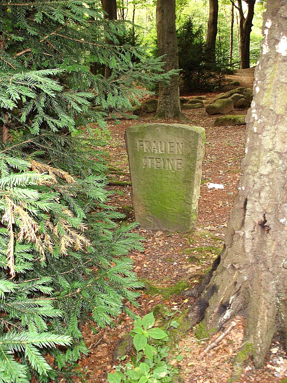 Zementquarzit "Frauensteine"