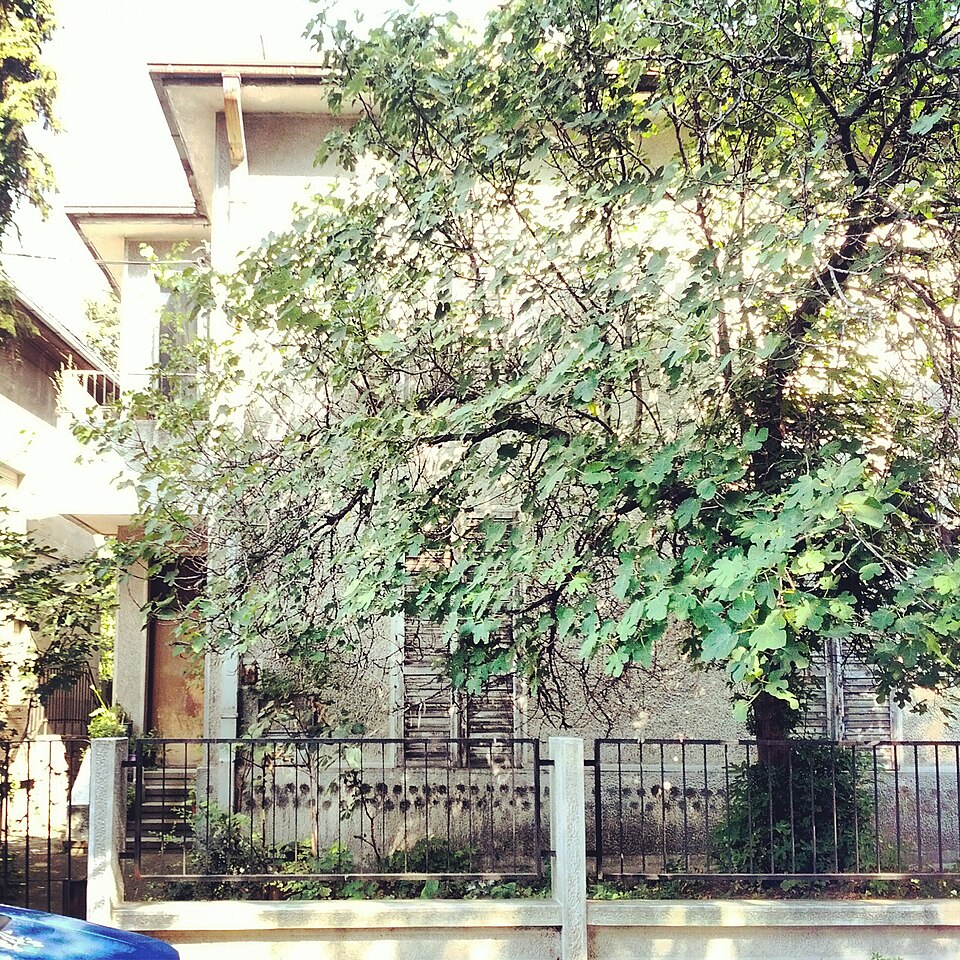 Музеј Надежде и Растка Петровића